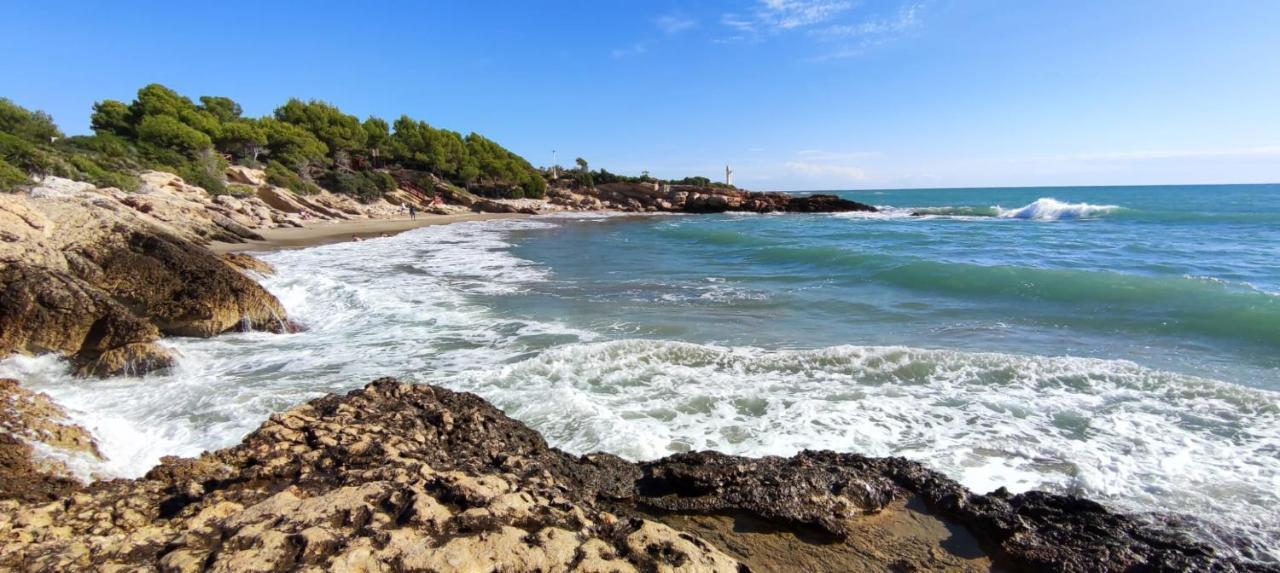 Apartamento L 'Altina A 40 Metros De La Playa 阿尔考斯布里 外观 照片